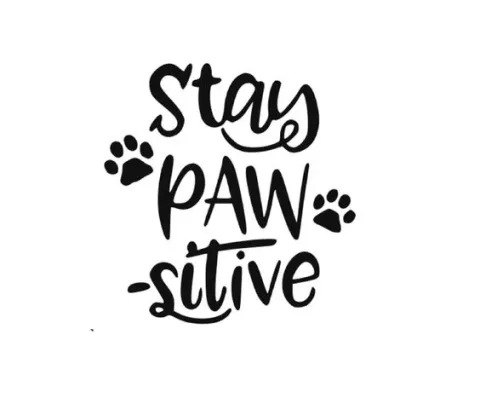 Stay Pawsitive